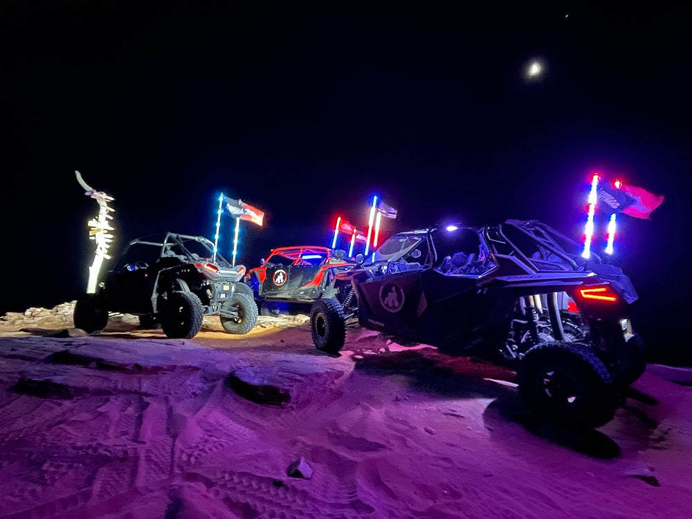 LED Whips
